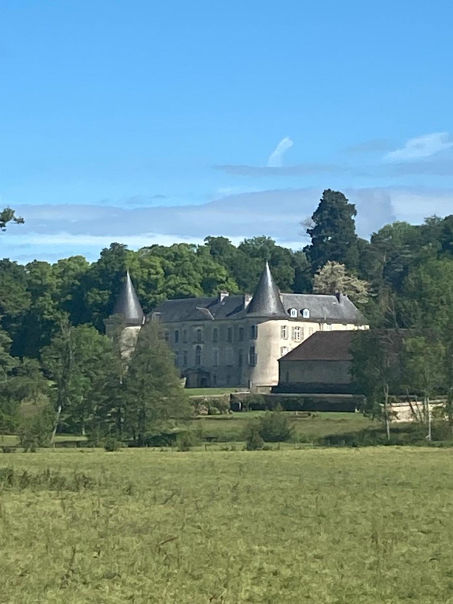 Chateau De Beaujeu Sens-Beaujeu Exterior foto